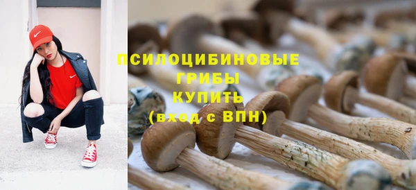 экстази Медногорск