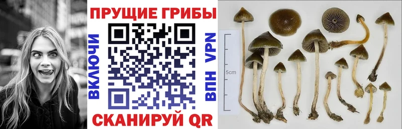 Галлюциногенные грибы MAGIC MUSHROOMS  мега ONION  Яранск 